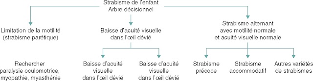 Schéma décisionnel médical pour identifier les causes d’un strabisme infantile, en fonction de la motricité et de l’acuité visuelle.